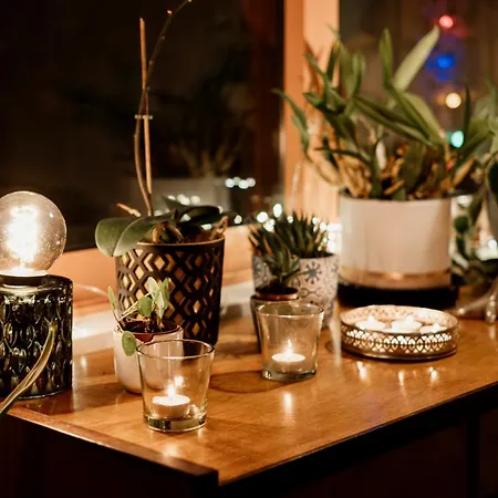 W/ Garden Terrace 아파트 포르투